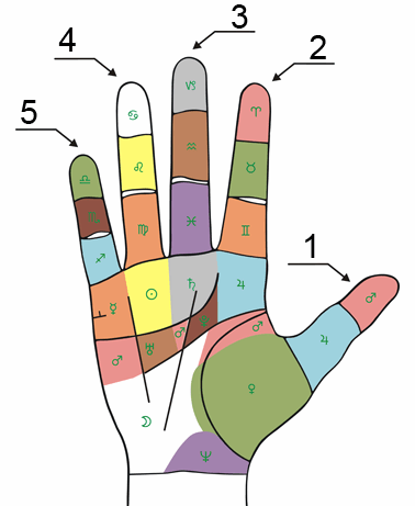 Пальцы рук